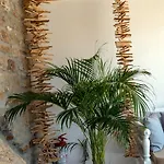 別荘 Casa Di Pietra Mykonos