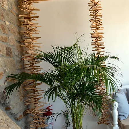 Feriehus Casa Di Pietra Mykonos