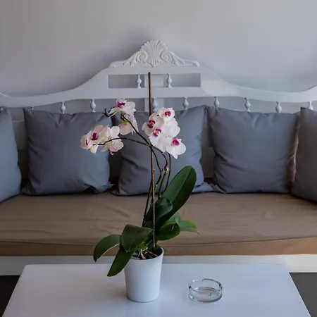 Casa Di Pietra Mykonos 3* Klouvas